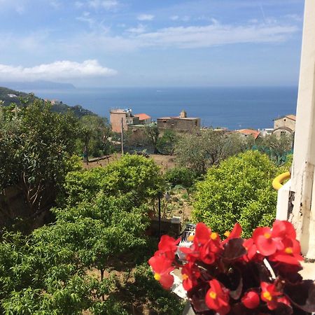 Relais Il Pennino Bed and Breakfast Massa Lubrense Rum bild