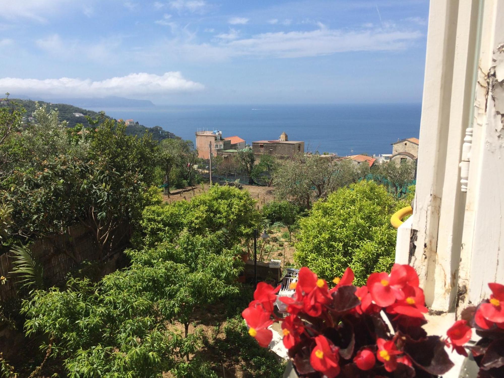 Relais Il Pennino Bed and Breakfast Massa Lubrense Rum bild